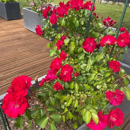 Plain Pied 4 Etoiles 빌라 Millas