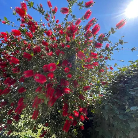 Plain Pied 4 Etoiles 빌라 Millas