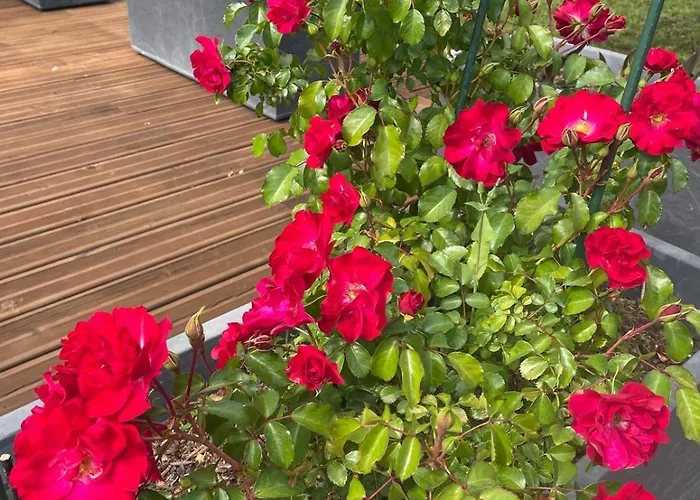 Plain Pied 4 Etoiles Villa Millas